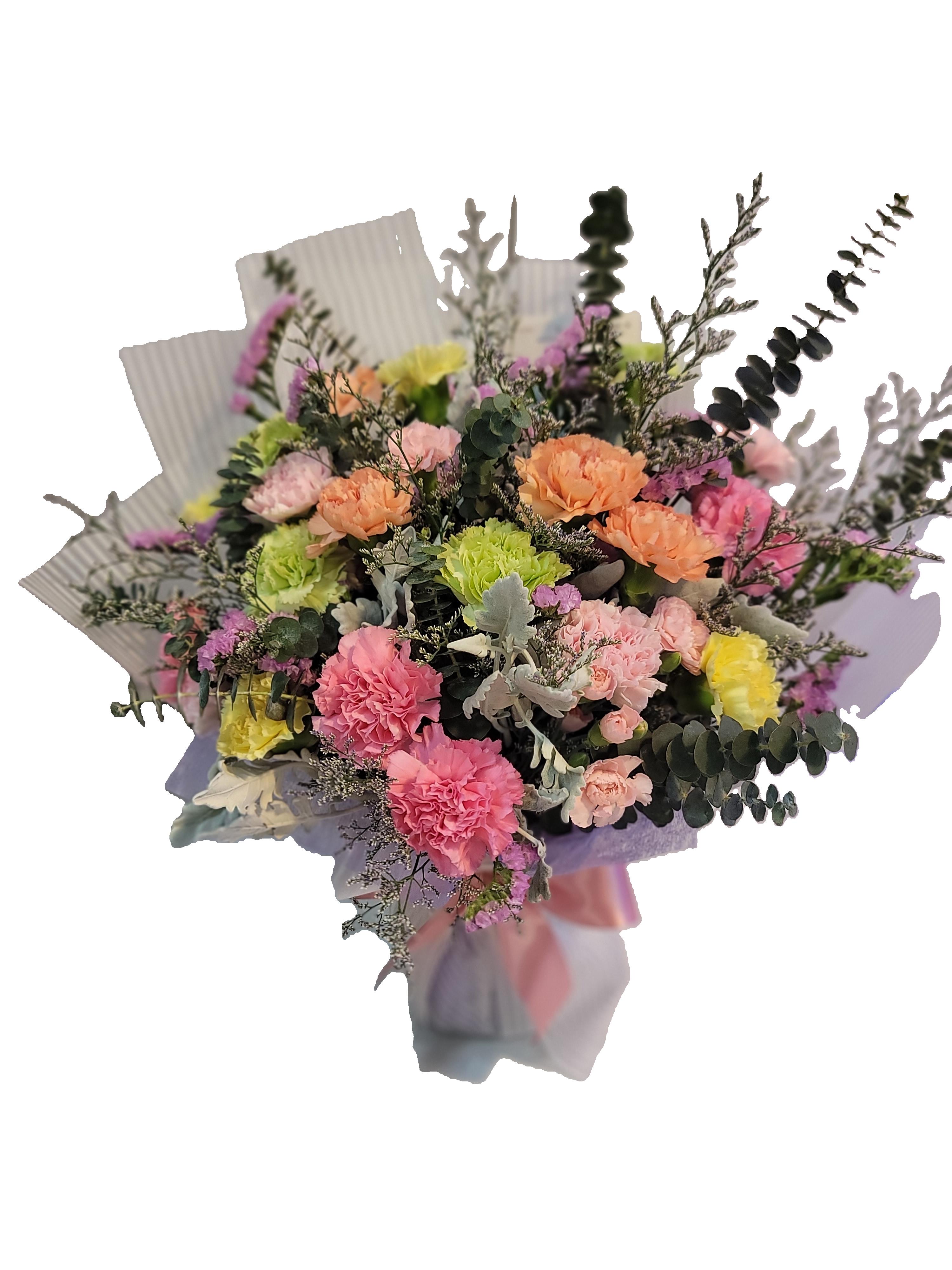 Carnation Bouquet 7