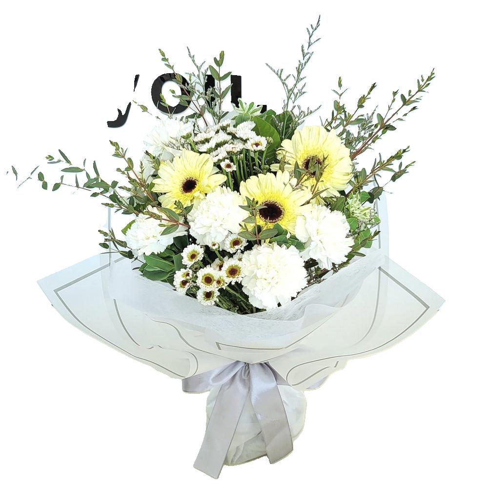 Gerbera 2