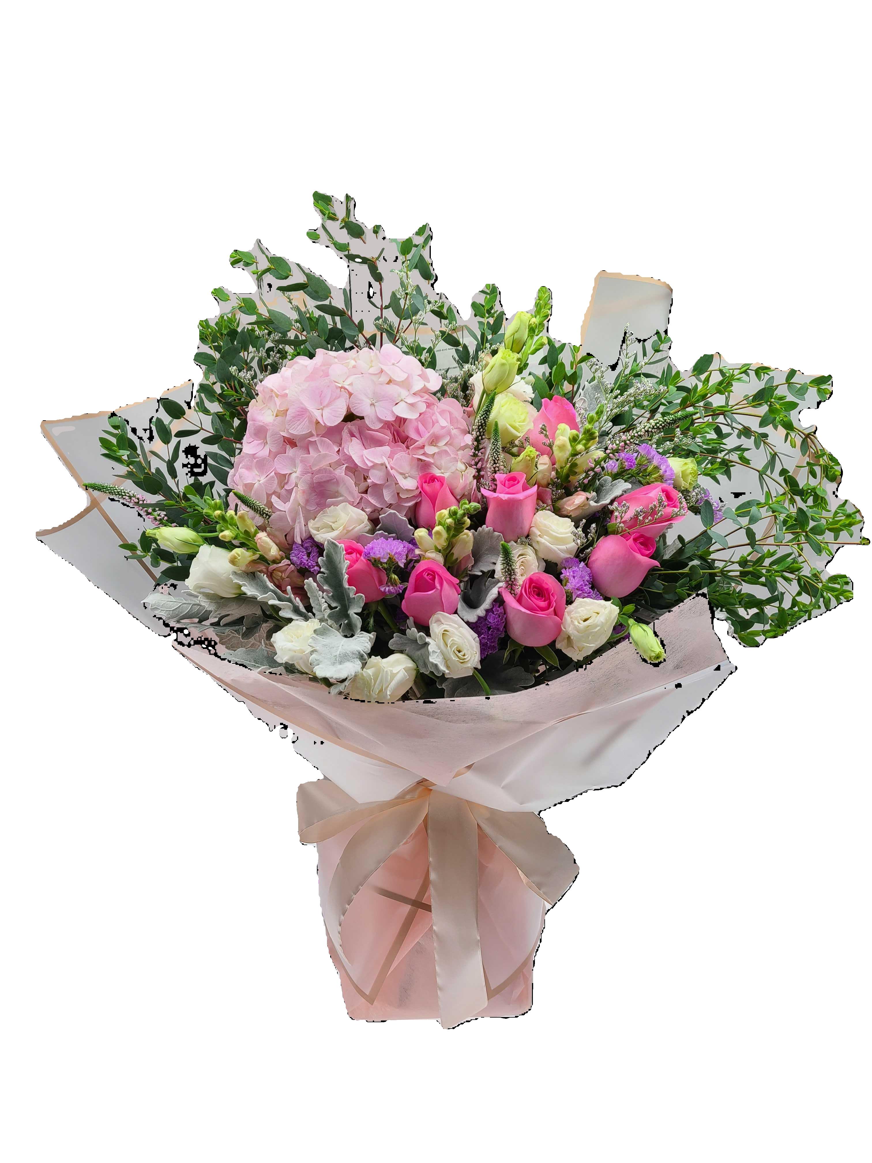 Hydrangea 3