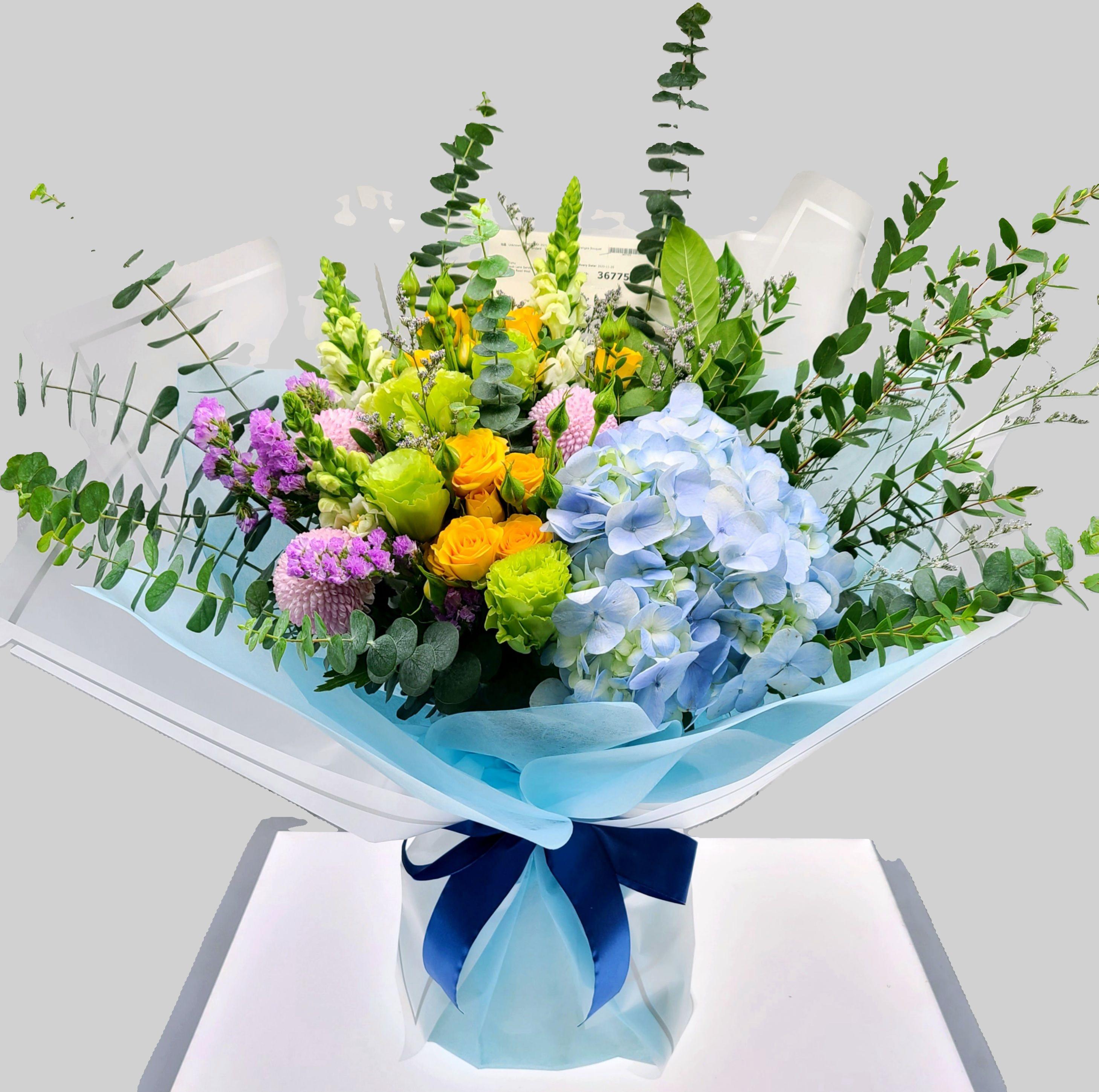 Hydrangea 4