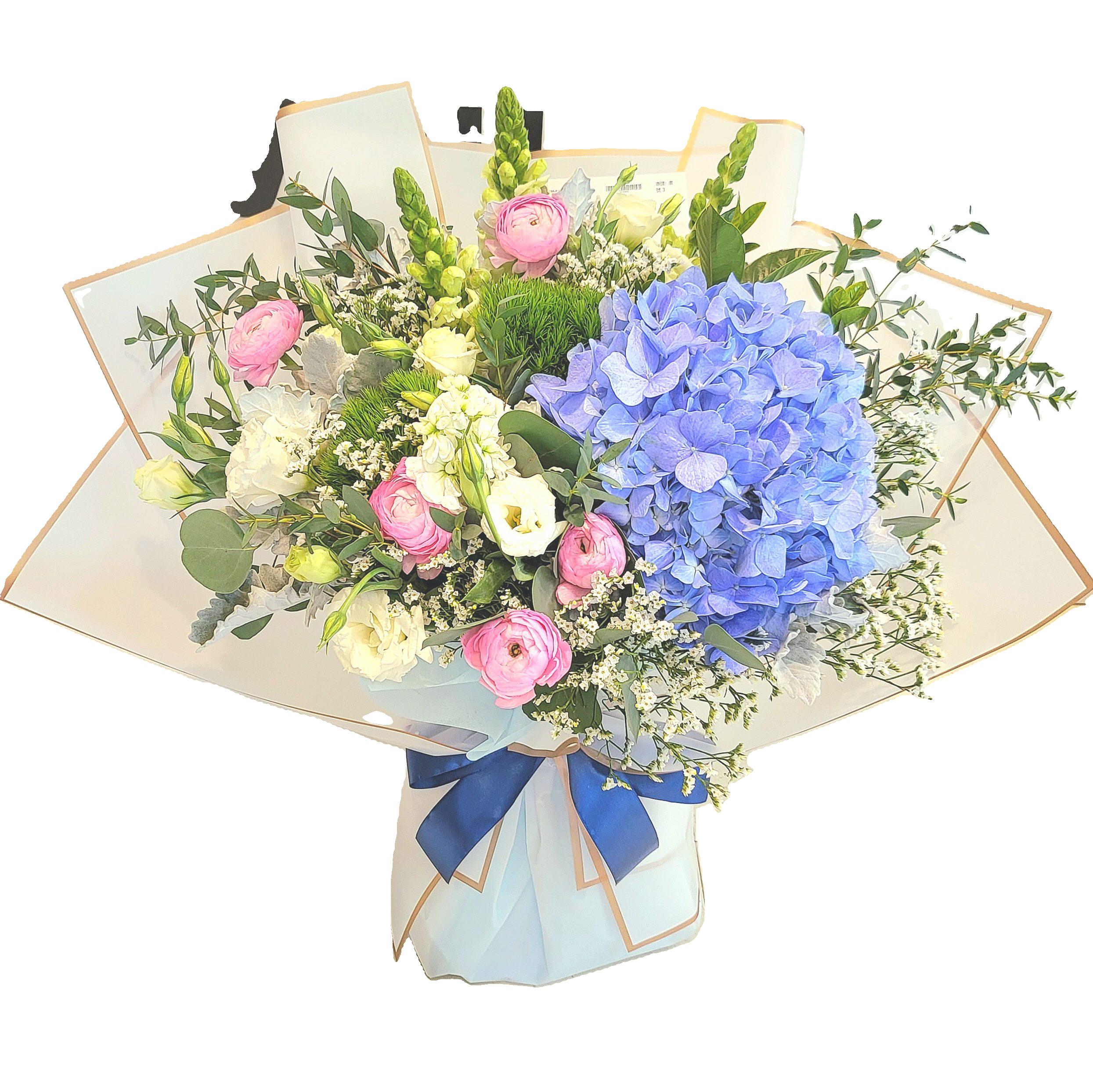 Hydrangea 9