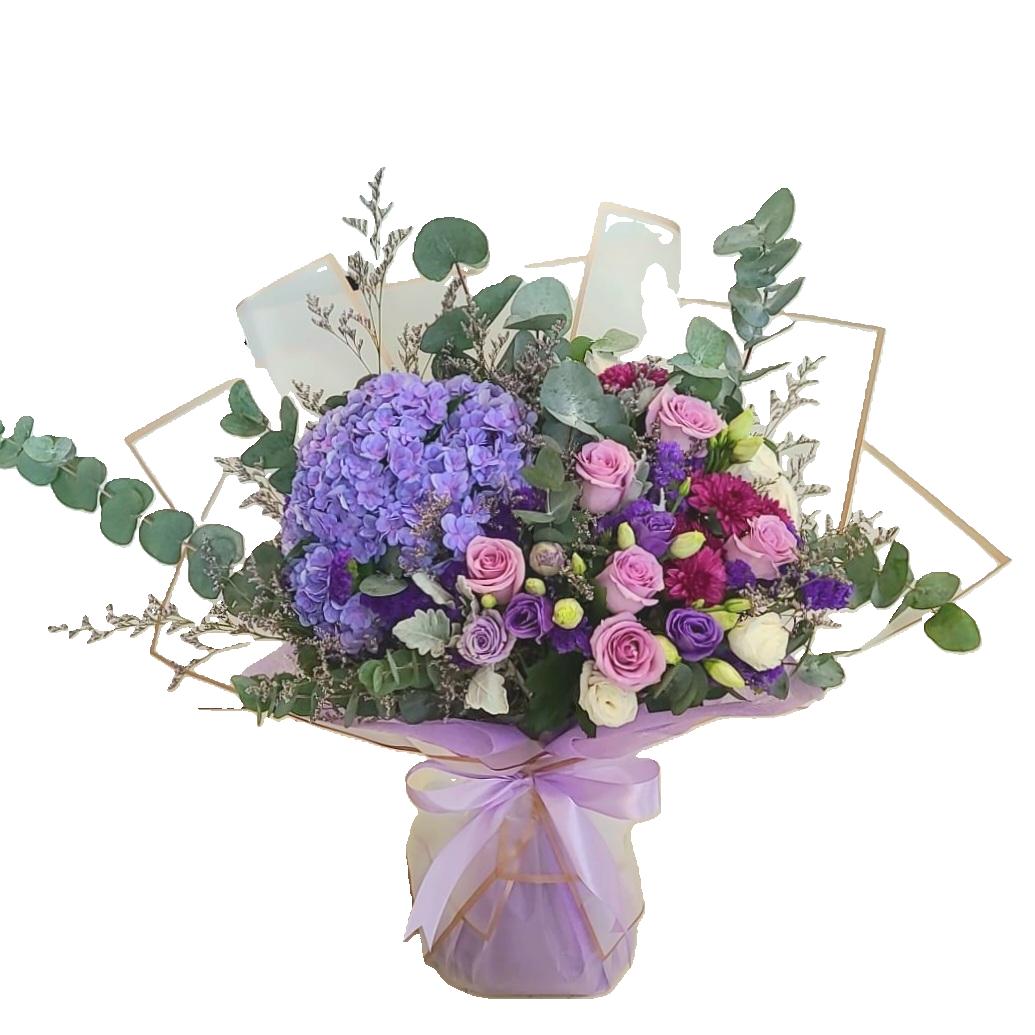 Hydrangea 19