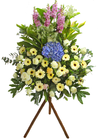 Heartfelt Condolences