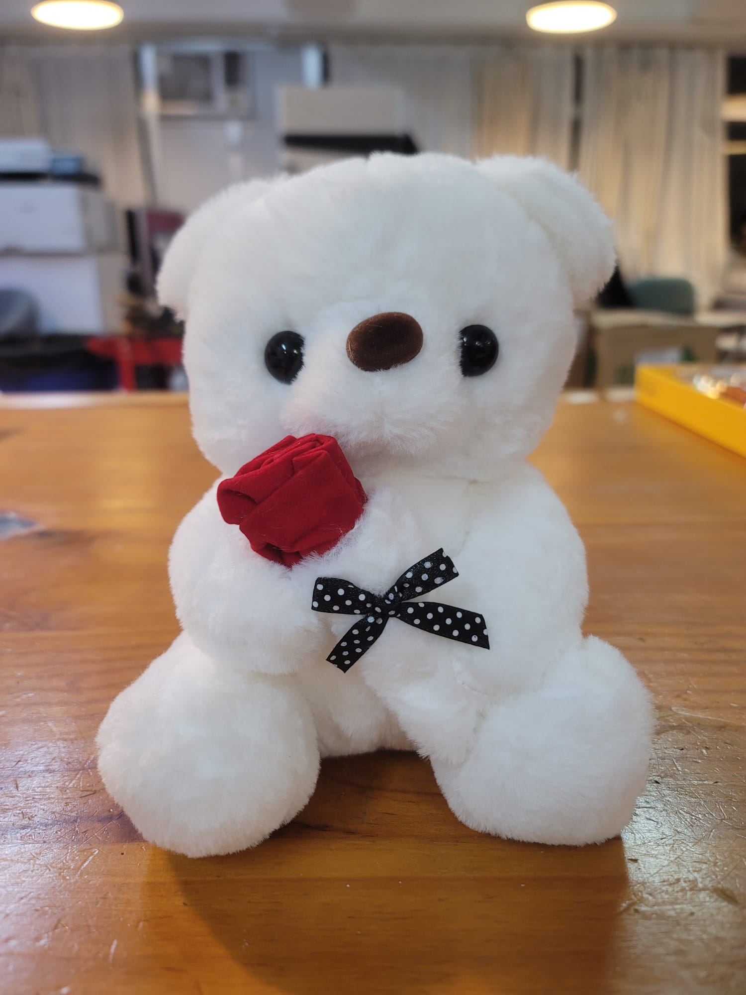 Lovely Teddy Bear 10 Inches (white)