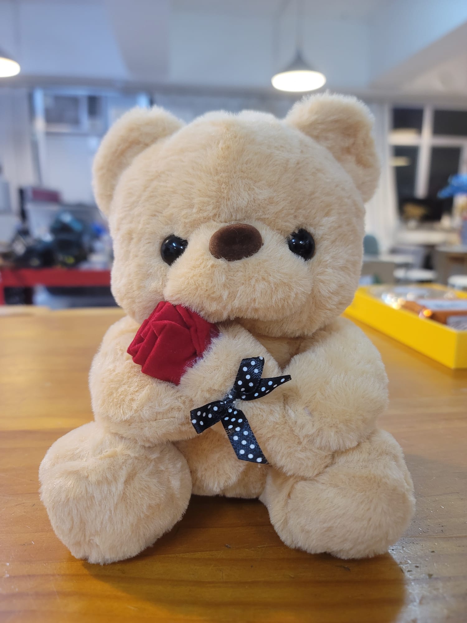 Loving you Teddy 10 inches (brown)