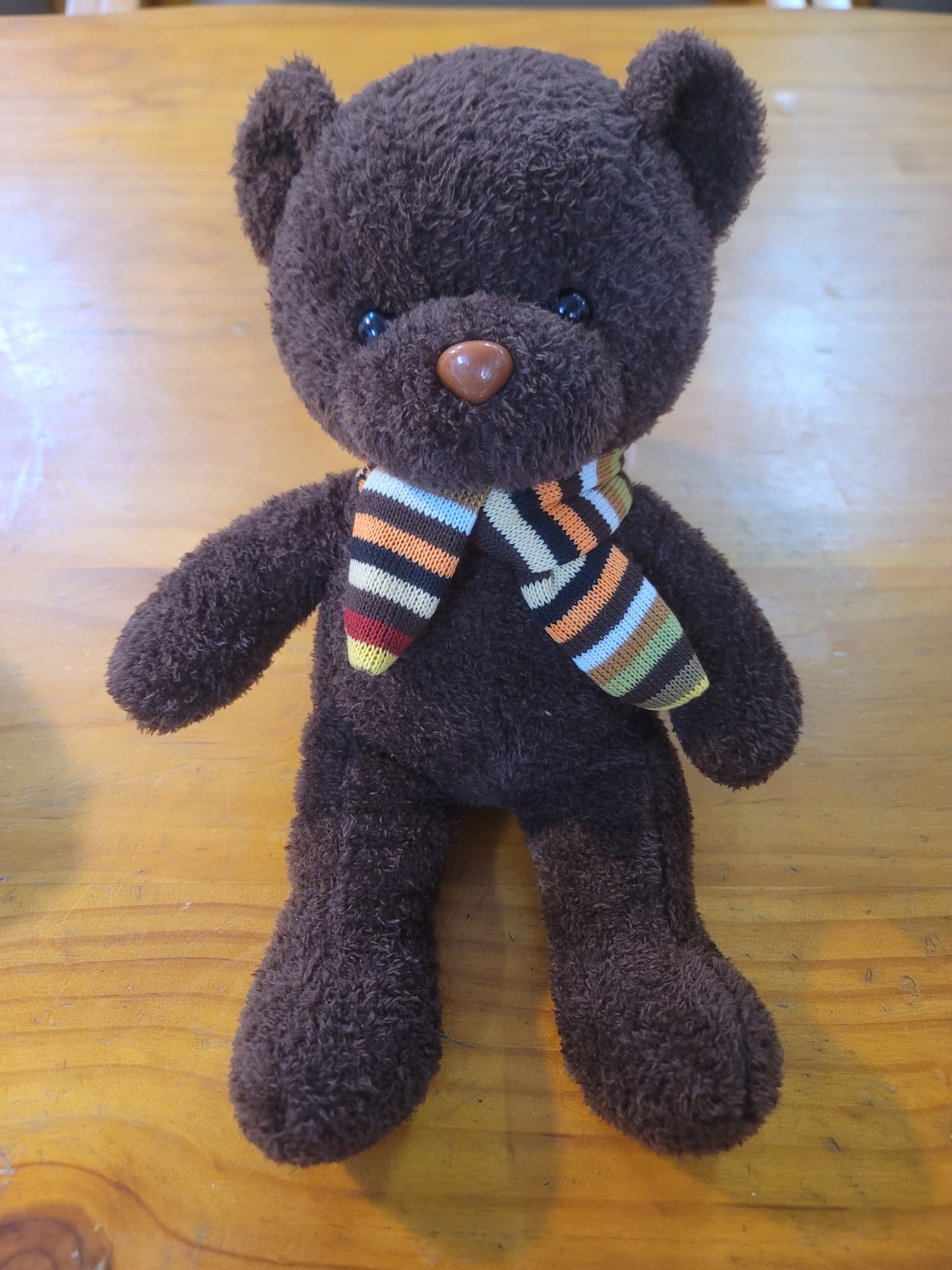 Teddy Bear in dark brown 10 Inches